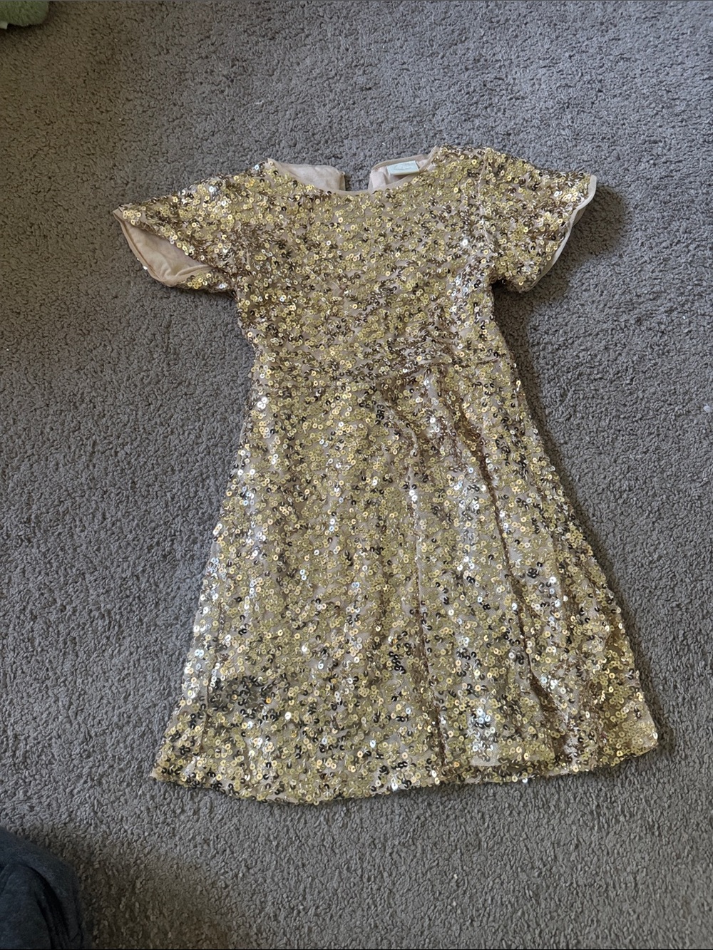 Zara Gold Sequin Top with Nude Mesh